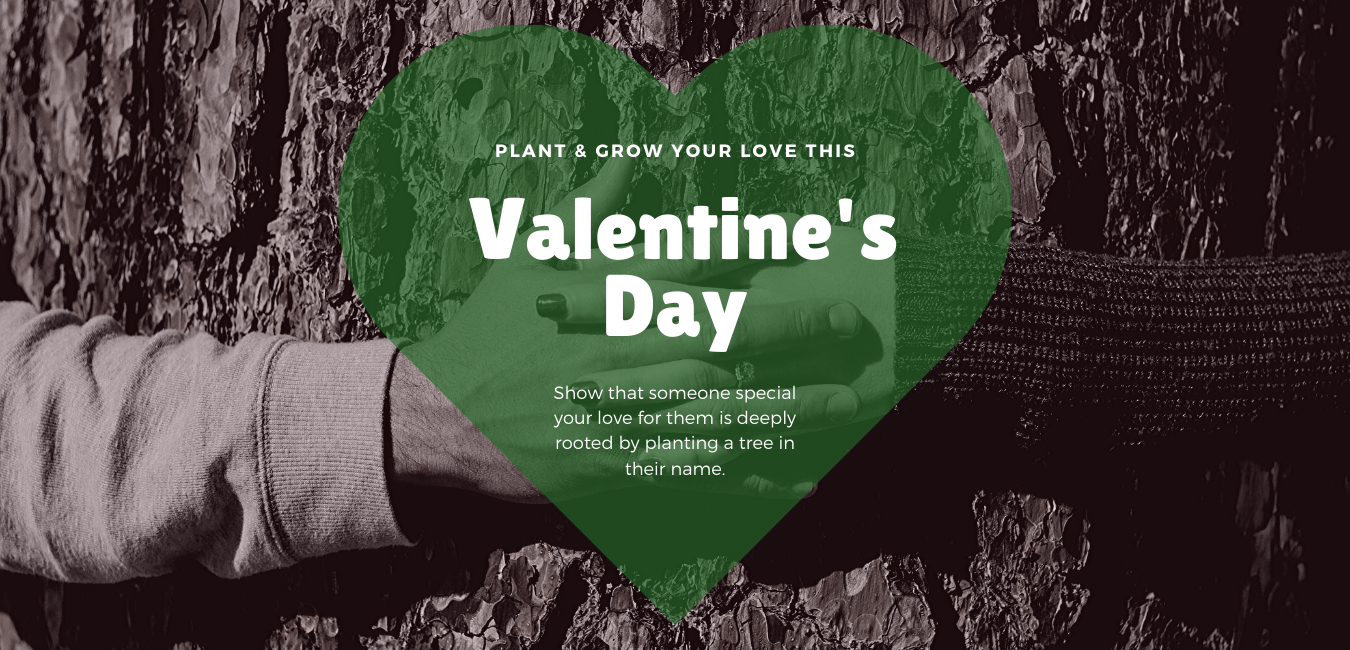 Plant & Grow Your Love This Valentine's Day