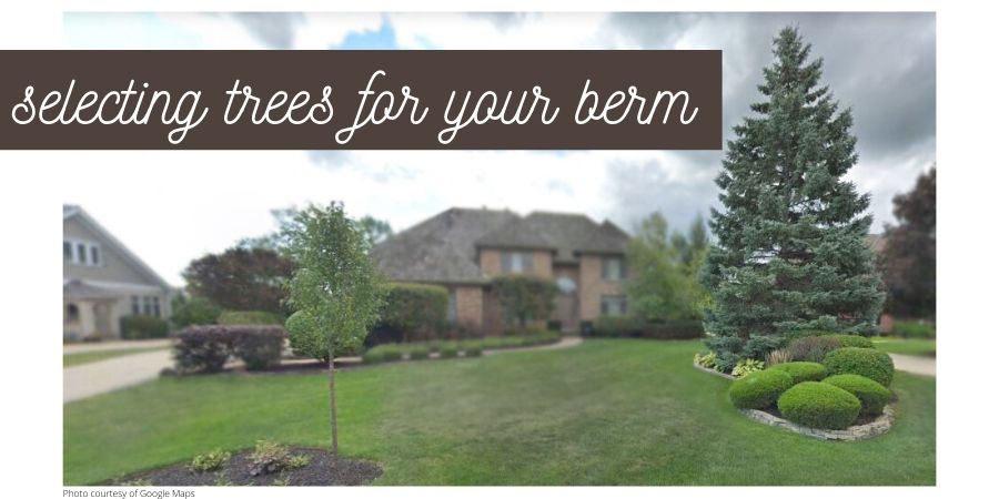 How Do I Select Trees for My Berm?