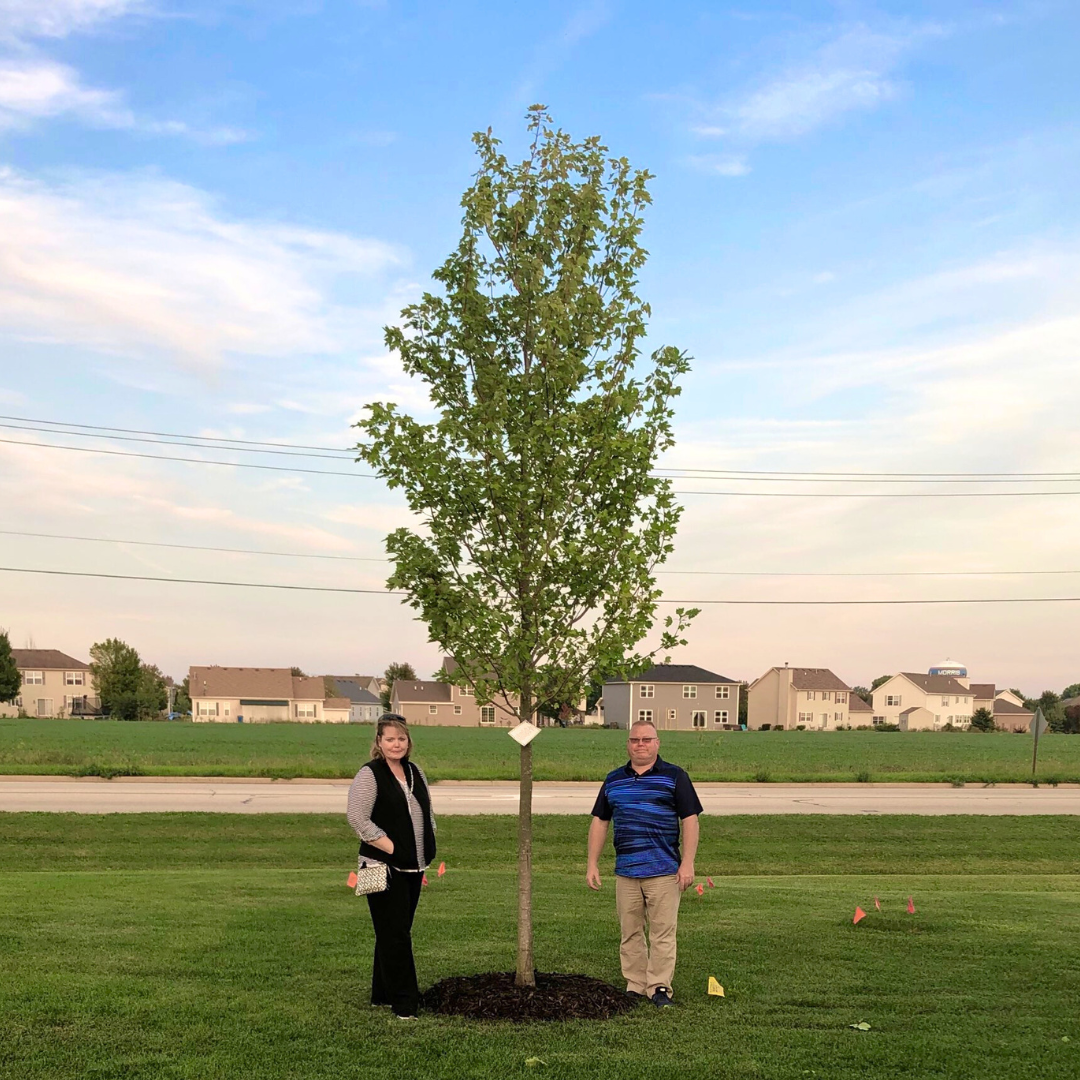 Significance of Legacy Trees