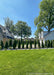 Emerald Green Arborvitae planted in a row along a fence line in a sideyard.